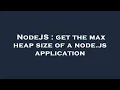 NodeJS get the max heap size of a node js application