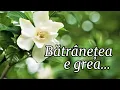 Download Lagu Bătrânețea e grea – o melodie care îți frânge inima ❤️ | Dor \u0026 Ritm – Muzică de suflet 2025