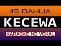 Download Lagu Iis Dalia KECEWA - Karaoke No Vokal