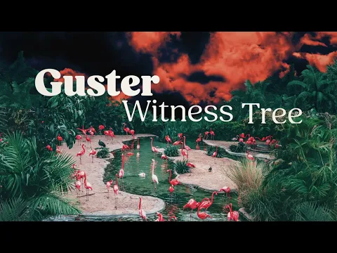 Download MP3 Guster - \