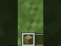 How to place a block in Minecraft
