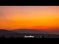 Ruel - too many feelings (Lyrics)