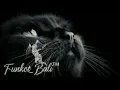 Download Lagu DJ \