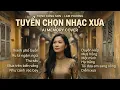 Lagu Tuyển Chọn Nhạc Trịnh Công Sơn – Lam Phương | 11 Ca Khúc Bất Hủ | AI Memory Cover