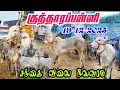 Lagu 19-12-2025 kundarapalli Friday Biggest Bull market in tamilnadu Krishnagiri district 