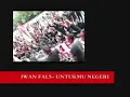 Download Lagu Iwan fals UNTUKMU NEGRI