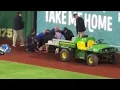 Pittsburgh Pirates Fan Fell Over Wall Onto Field at PNC Park