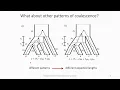 Download Lagu Phylogenomic branch length estimation using... - Yasamin Tabatabaee - EvolCompGen - ISMB/ECCB 2023
