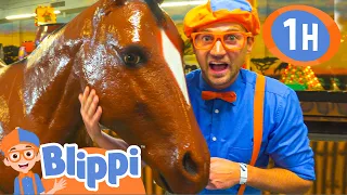 Blippi Explores Jungle Animals 1 HOUR OF BLIPPI Educational s For Kids Blippi Toys