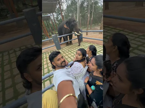 🐘😍யாழ் யுகா First time யானைய பாக்கறா🔥#charuslifestyle #aswincharu #yazhyuga #minivlog #shorts