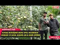 Download Lagu Petani Muda Sukses Budidaya Buah Apel Pasuruan, 1700 Pohon Sekali Panen Capai 20 Ton