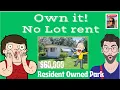 These Mobile Homes For Sale w NO LOT RENT Zephyrhills Florida