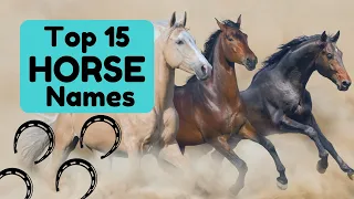 Horse Names Joyful Equestrian