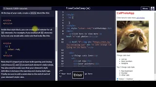 Use CSS selectors to style Elements in our website freecodecamp org