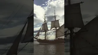 Sometimes life is amazing #pirates #sailing #adventure #lovewhatyoudo