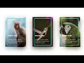 CSS Animated Responsive Card CSS Hover Effects