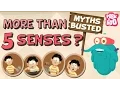 Download Lagu How Many Senses Do We Have? - Myths Busted | The Dr. Binocs Show | Busting The Myth of 5 Senses