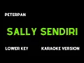 Download Lagu PETERPAN - SALLY SENDIRI (KARAOKE VERSION) LOWER KEY
