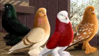 من اجمل ما خلق الله في الكون    سبحان الله العظيم دندنها