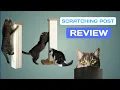 The Best SCRATCHING POST For Your CAT - SmartCat Ultimate REVIEW