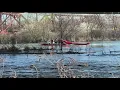 Teen rescued after becoming stranded in Boise River