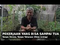 Pekerjaan yang Bisa DiLakoni Sampai Tua | Tanpa Stress Tanpa Tekanan (Slow Living)