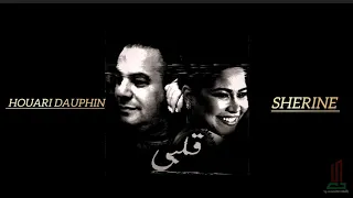 SHERINE X HOUARI DAUPHIN GALBI Slowed And Reverb 