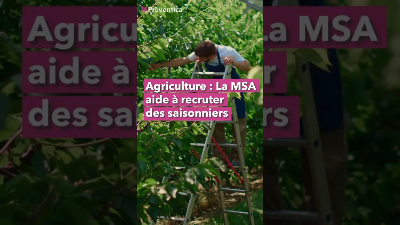 Agriculture : la MSA dévoile un guide pour faciliter le recrutement des saisonniers agricoles