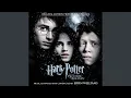 Download Lagu A Window to the Past
