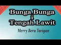 Download Lagu Lagu Karo Lama Bunga bunga i tengah lawit Merry BEru Tarigan
