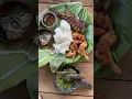 Download Lagu menu masakan di Ladang part. ke sekian