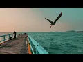 RÜFÜS DU SOL, LANE8, ADRIATIQUE, COLYN | ALLEGRO Sunset Mix 4K SET | HOME SESSIONS EP.07
