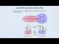 8 Spike Trains - Intro to Neural Computation