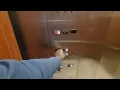 Schindler Hydraulic Elevator Super 8 Troy IL