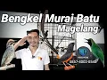 Bengkel Dan sekolah Burung  Murai batu magelang @HDCK kicau #chipo212 #sekolahburung