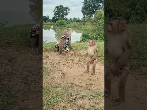 Amazing Video Best SokYaa,OG, Pao & Mom Are Famous Around The World #shorts