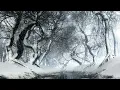 Eternal Tears Of Sorrow - The River Flows Frozen (Subs - Español - Lyrics)