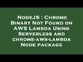 NodeJS Chrome Binary Not Found on AWS Lambda Using Serverless and chrome-aws-lambda Node package