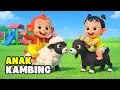 Lagu ANAK KAMBING SAYA 🐐 | Lagu Anak Indonesia Edukatif Terbaru | Balita TK PAUD