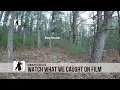 Download Lagu WHAT?!?!? Watch what we caught on camera!