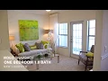 1-Bedroom Apartment - New Longview Apartments