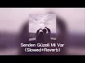 Senden Güzeli Mi Var - Emre Fel (Slowed+Reverb)