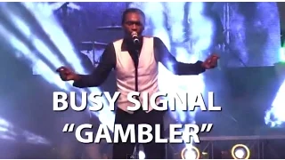 busy signal the gambler lyrics