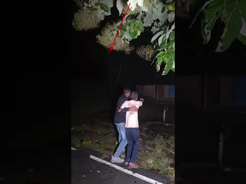 भैया मेरी बहन को बचा लो 😰 # #ghost #horror #viral #new #viralvideos #horrorstories #aghoststory