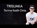 Download Lagu TERIMA KASIH CINTA