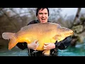 Download Lagu I Caught My Biggest EVER! Carp Fishing