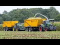Download Lagu Loadmaster TBL techniek B.V. silagewagen in de snijmaïs