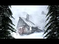 Download Lagu -71 Overleven van een BRUTALE RUSSISCHE WINTER in 2025 - BRUTALE EXTREME Koude!