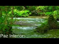 Download Lagu Aliviar o Cansaço da Mente - Música Relaxante Para Amenizar a Exaustão e Fadiga Mental, Tranquilizar