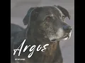 Argos - Star Age